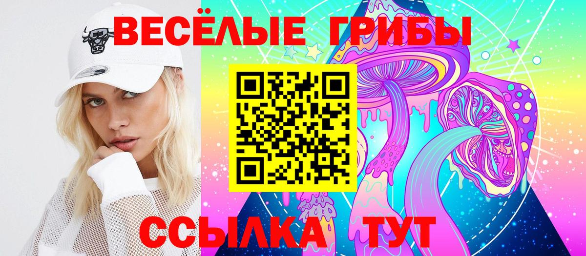 Чернушка  Псилоцибиновые грибы Cubensis  Вход с VPN 