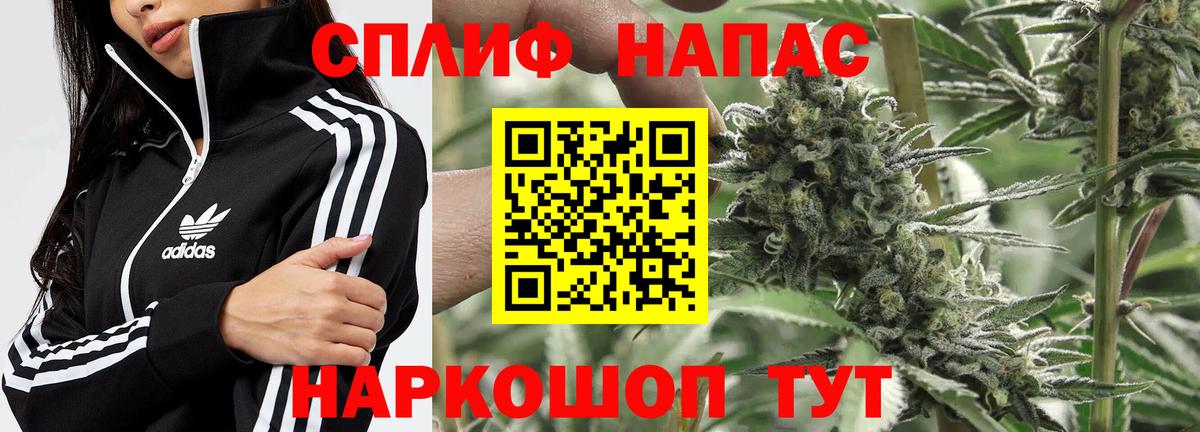 Чернушка  Конопля план  Каннабис THC 21%  Канабис семена  Вход с VPN 